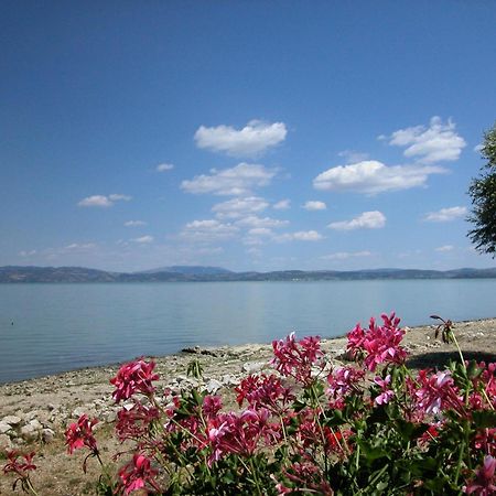 Hotel Aganoor Castiglione del Lago Exteriör bild