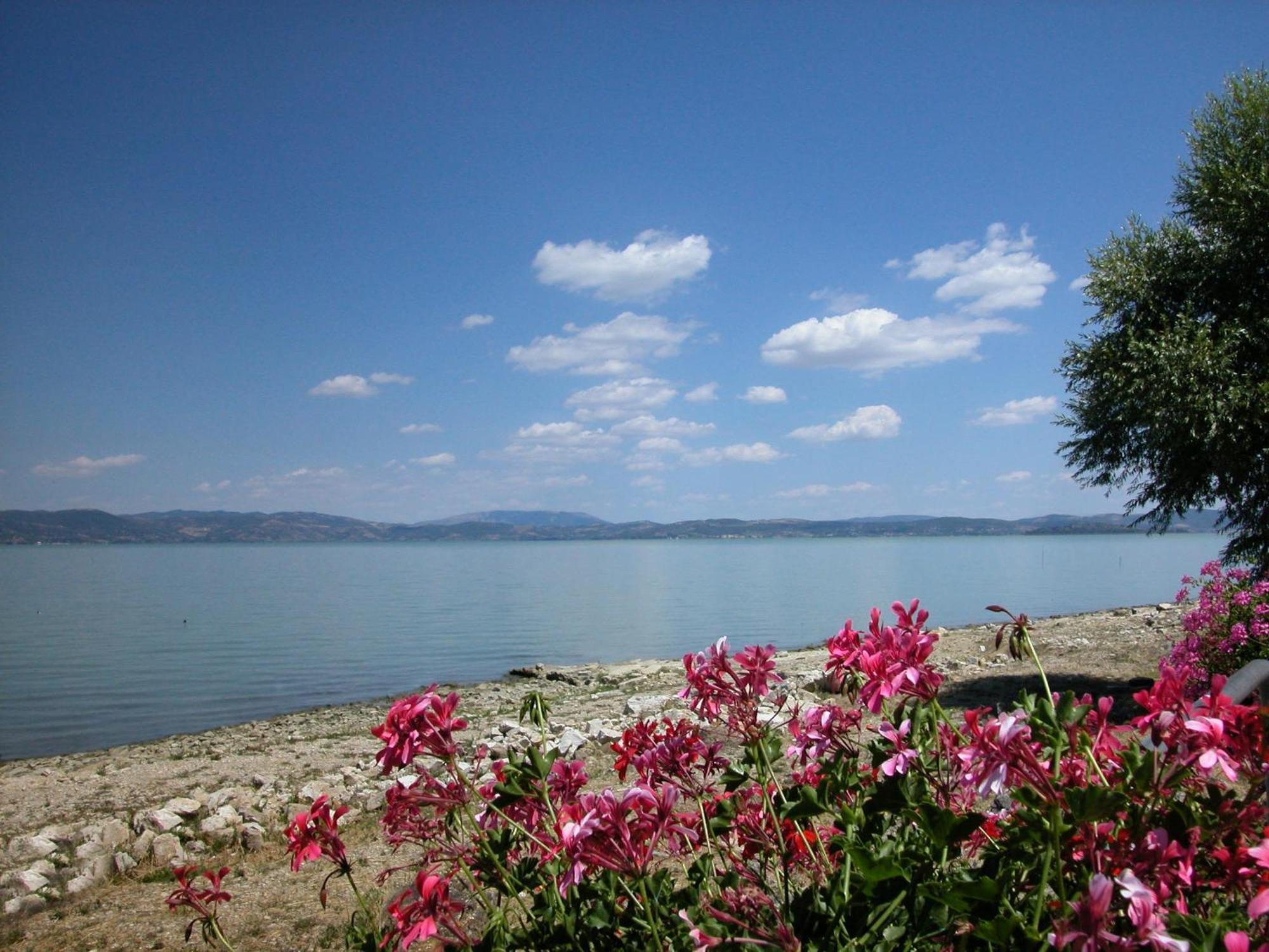 Hotel Aganoor Castiglione del Lago Exteriör bild