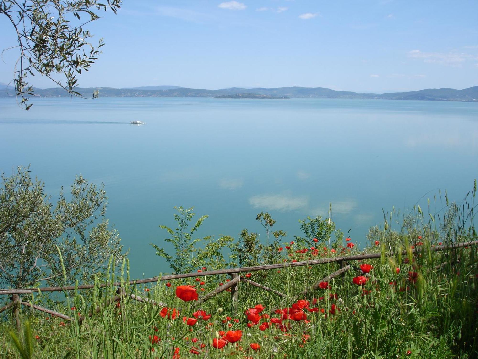 Hotel Aganoor Castiglione del Lago Exteriör bild